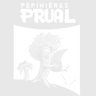 Horaires d'été. 