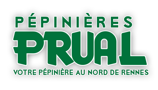 Arbre prual