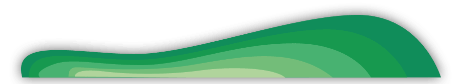 Arbre prual